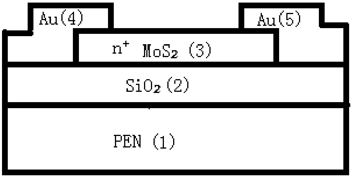 Flexible molybdenum disulfide phototransistor and preparation method thereof