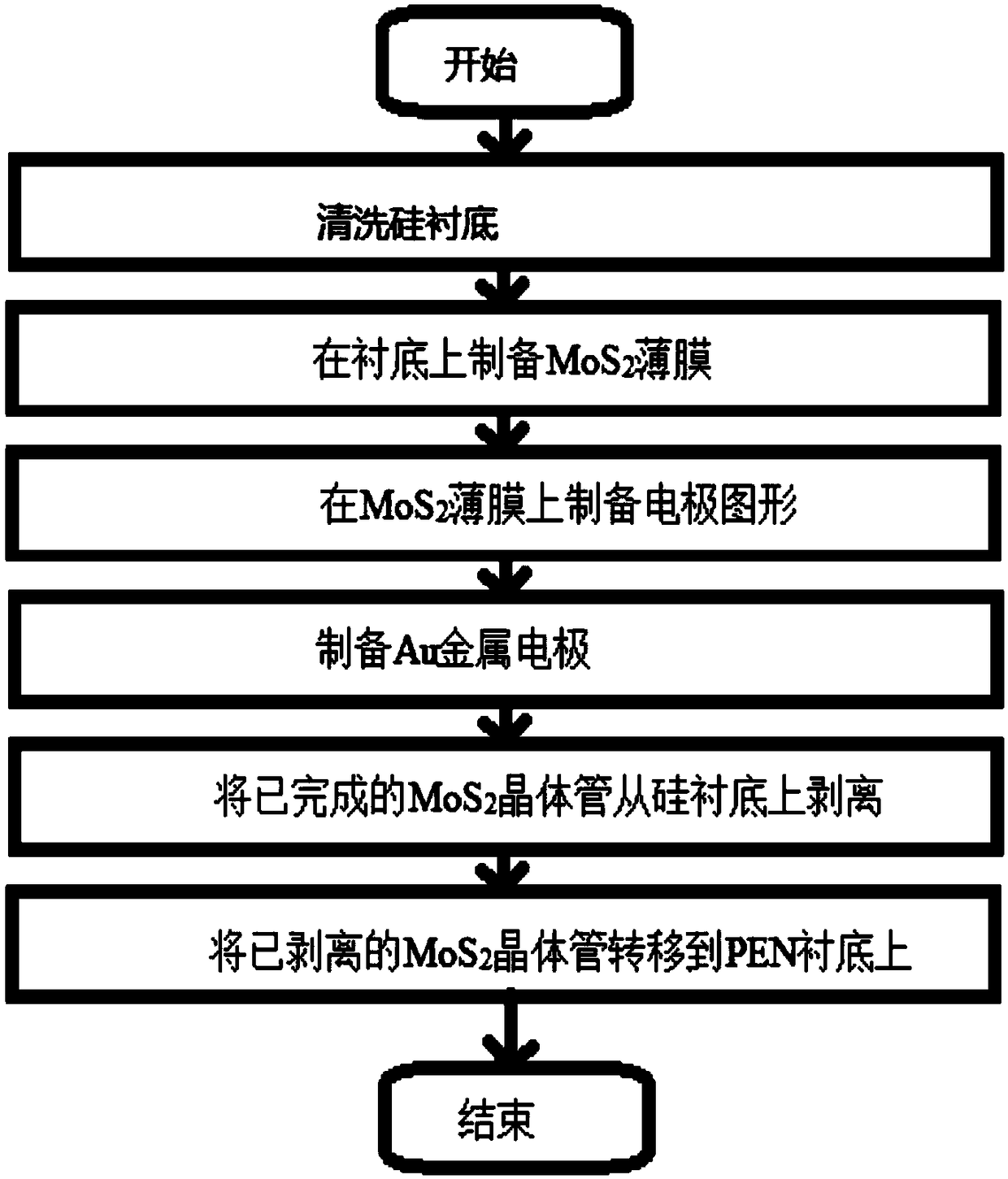 Flexible molybdenum disulfide phototransistor and preparation method thereof