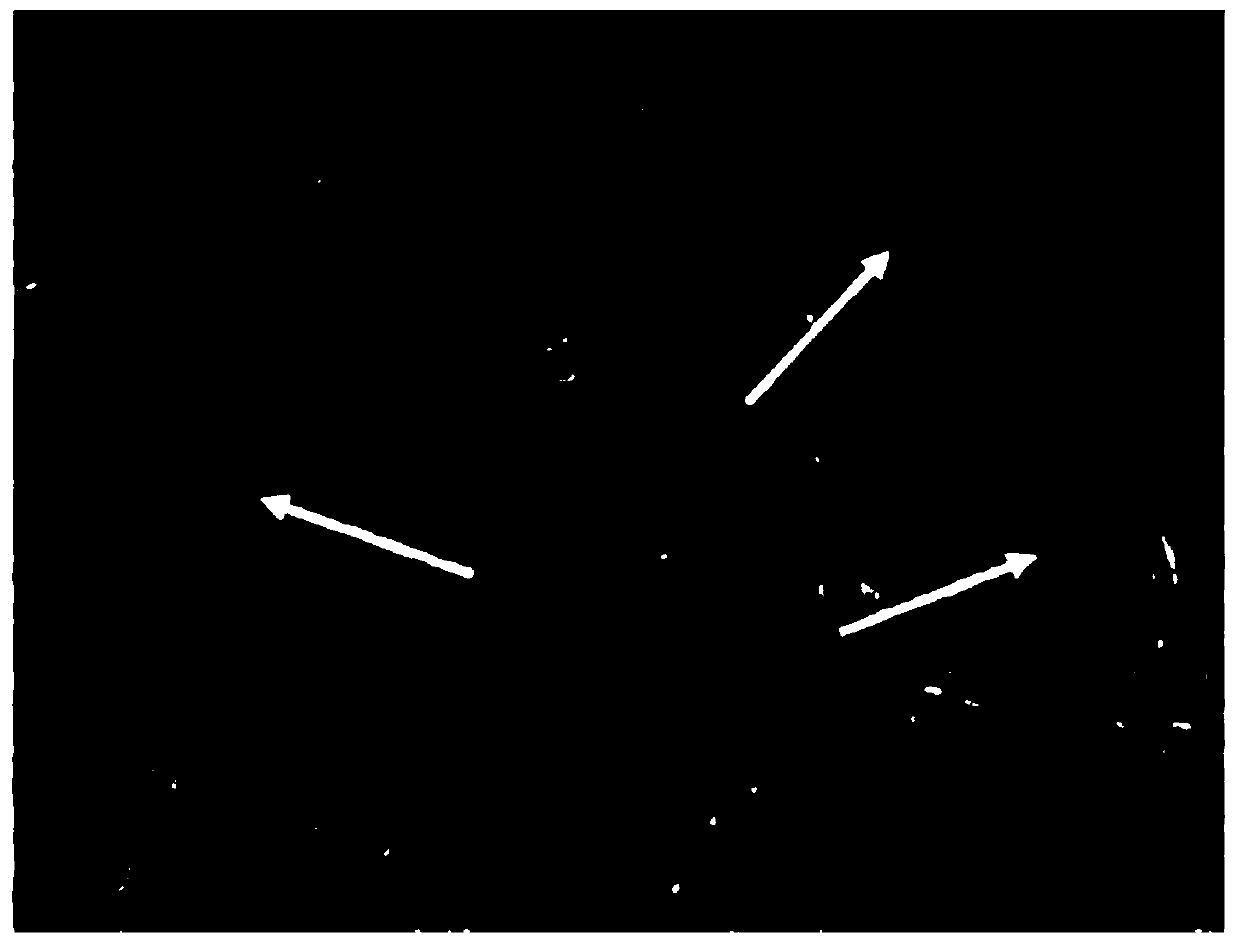 Process and device for preparing nano-scale core-shell structured carbon-coated composite material