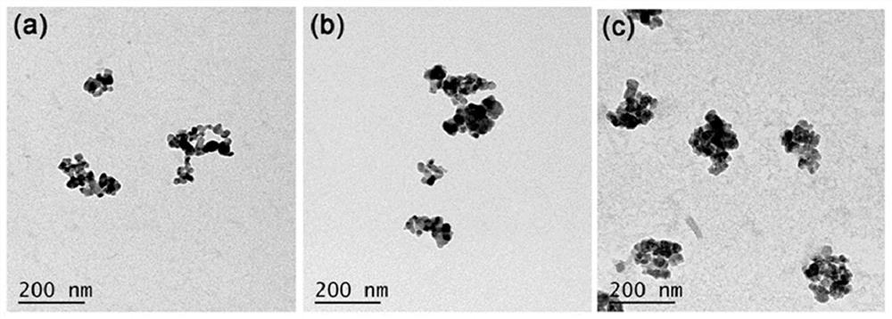 Application of nano material in preparation of medicine for treating atherosclerosis