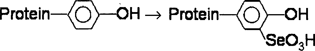 Glycosyl grain protein-selenium compound and production thereof