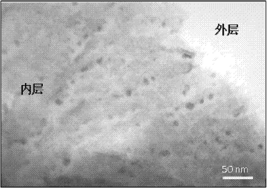 Method for preparing medical polymer material by ion implantation technique