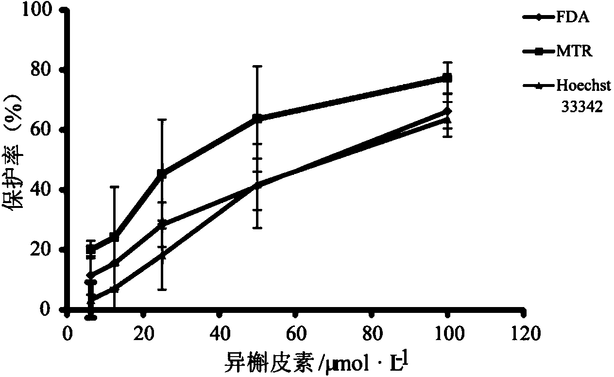 Method for screening DOX (doxorubicin)-nephrotoxicity-resistant active substances through three-color fluorescence labeling