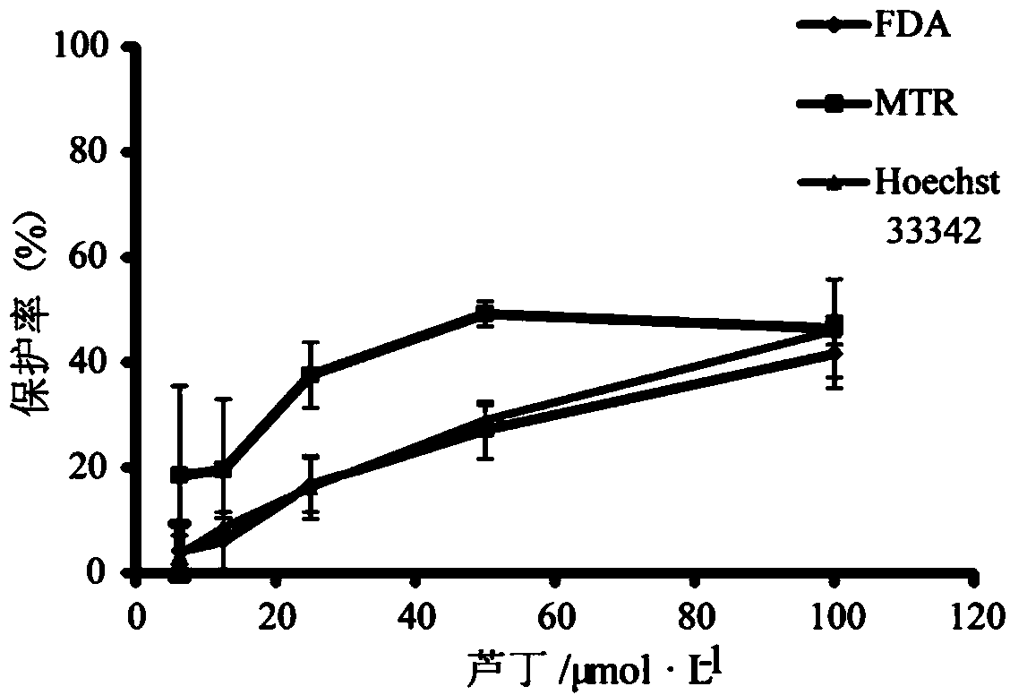 Method for screening DOX (doxorubicin)-nephrotoxicity-resistant active substances through three-color fluorescence labeling