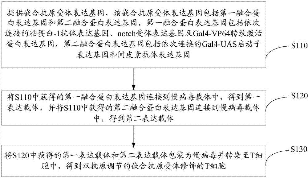 Chimeric antigen receptor and expression gene thereof, double-antigen regulated type T cell modified by chimeric antigen receptor, and application thereof