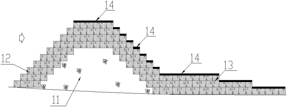 Protective arrangement structure for debris flow gully