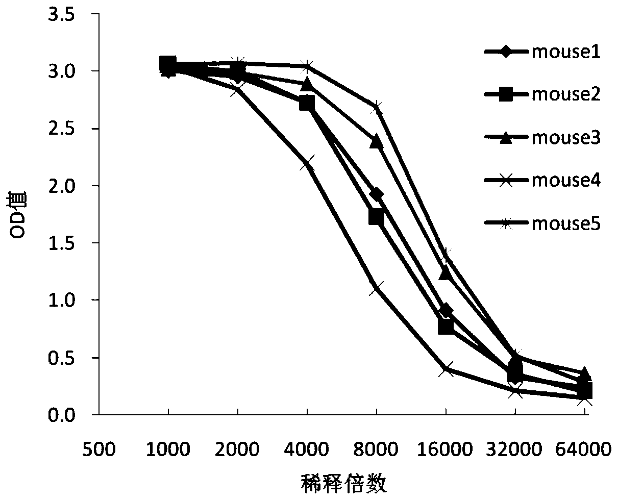 Mouse-derived monoclonal antibody for neutralizing botulinum toxin type A and application of mouse-derived monoclonal antibody