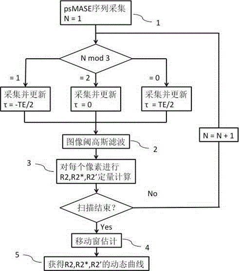 Magnetic resonance imaging method for measuring R2, R2* and R2' parameter image of tissue in noninvasive and dynamic manner