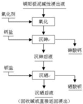 A method for separating arsenic and selenium from copper anode slime alkaline leaching solution