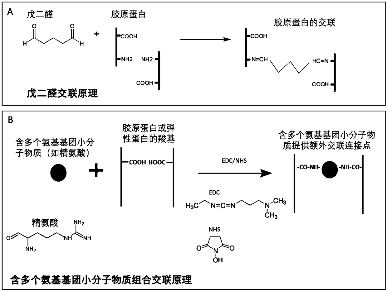 Treatment method for improving anti-calcification performance of biological material, and biological material