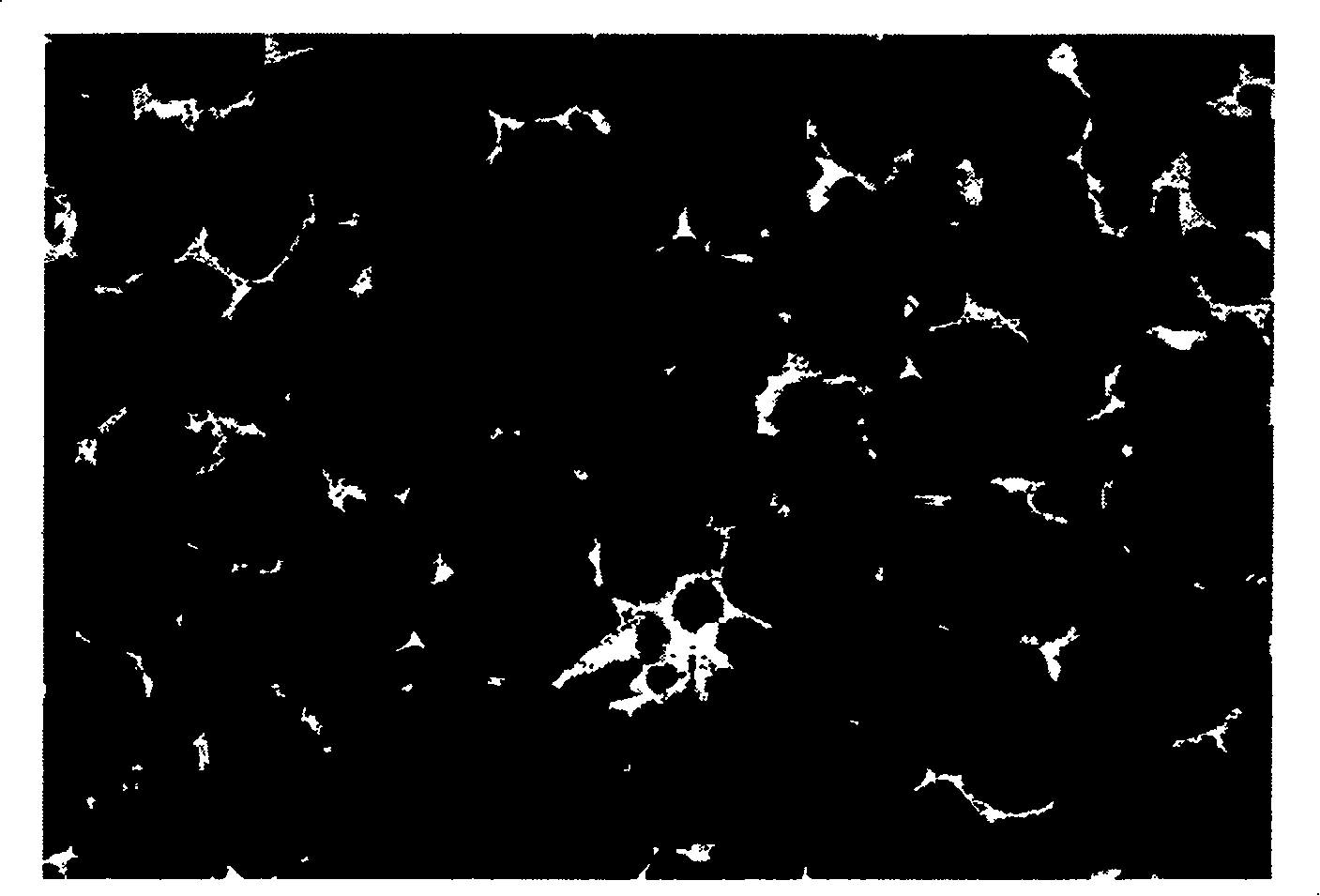 Method for casting Mg-Al-Zn based magnesium alloy with high strength and high tenacity