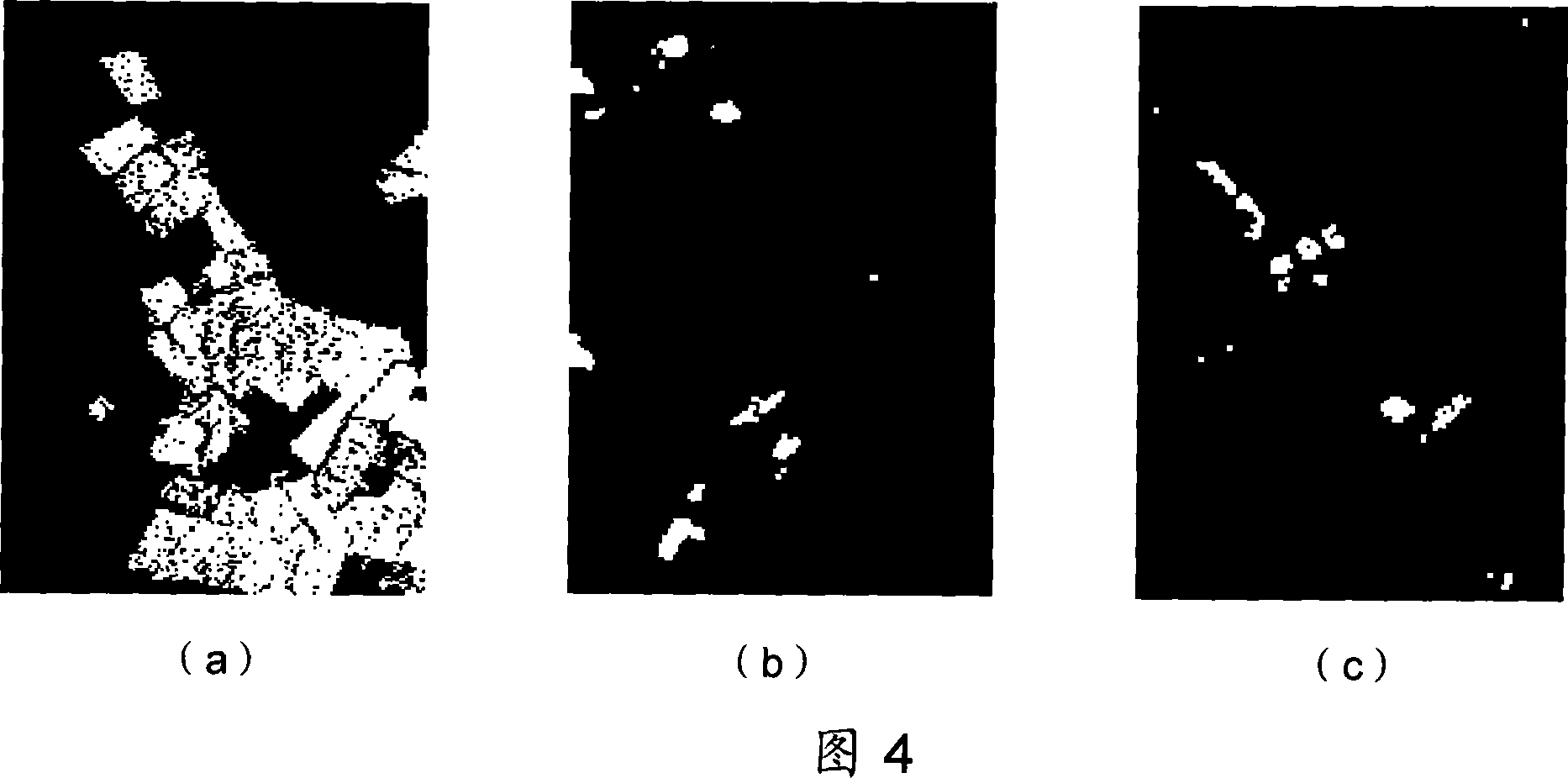 Independent ingredient analysis global search method for implementing high spectrum terrain classification