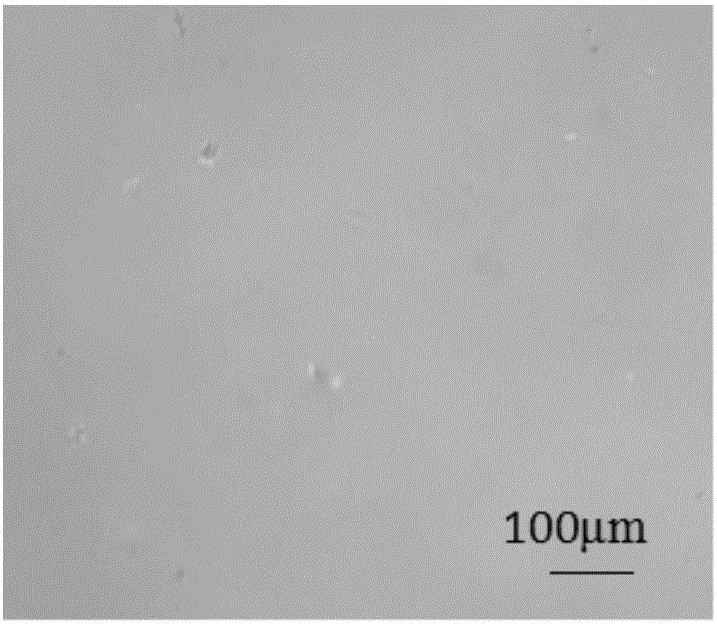 Cellulose and liquid crystal composition and preparation method thereof