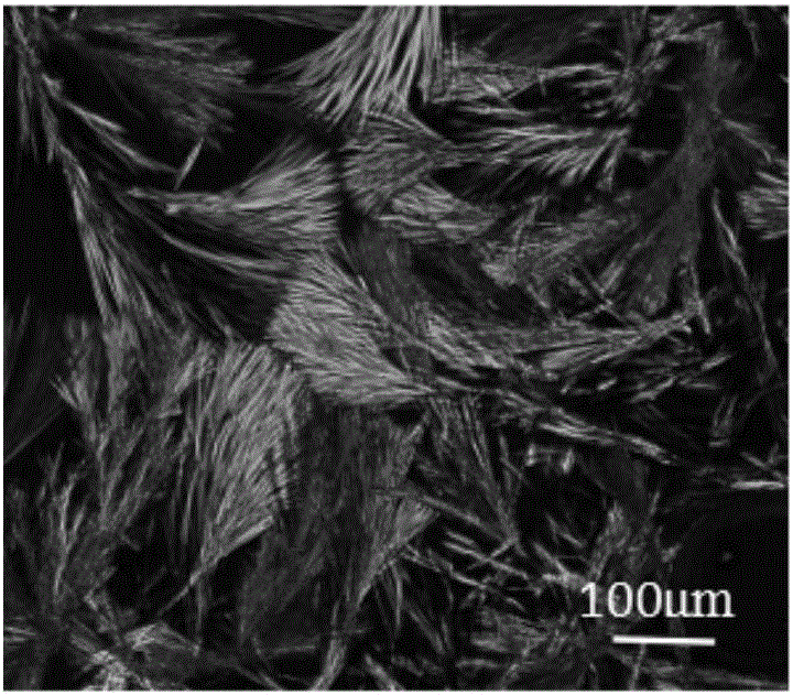 Cellulose and liquid crystal composition and preparation method thereof