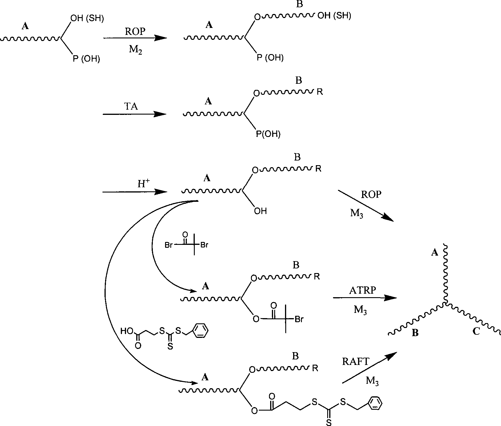 Method for preparing three hetero arms asteroid polymer