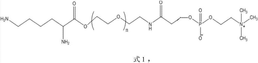 Diamido-terminated phosphorylcholine modified polyethylene glycol compound and preparation method thereof