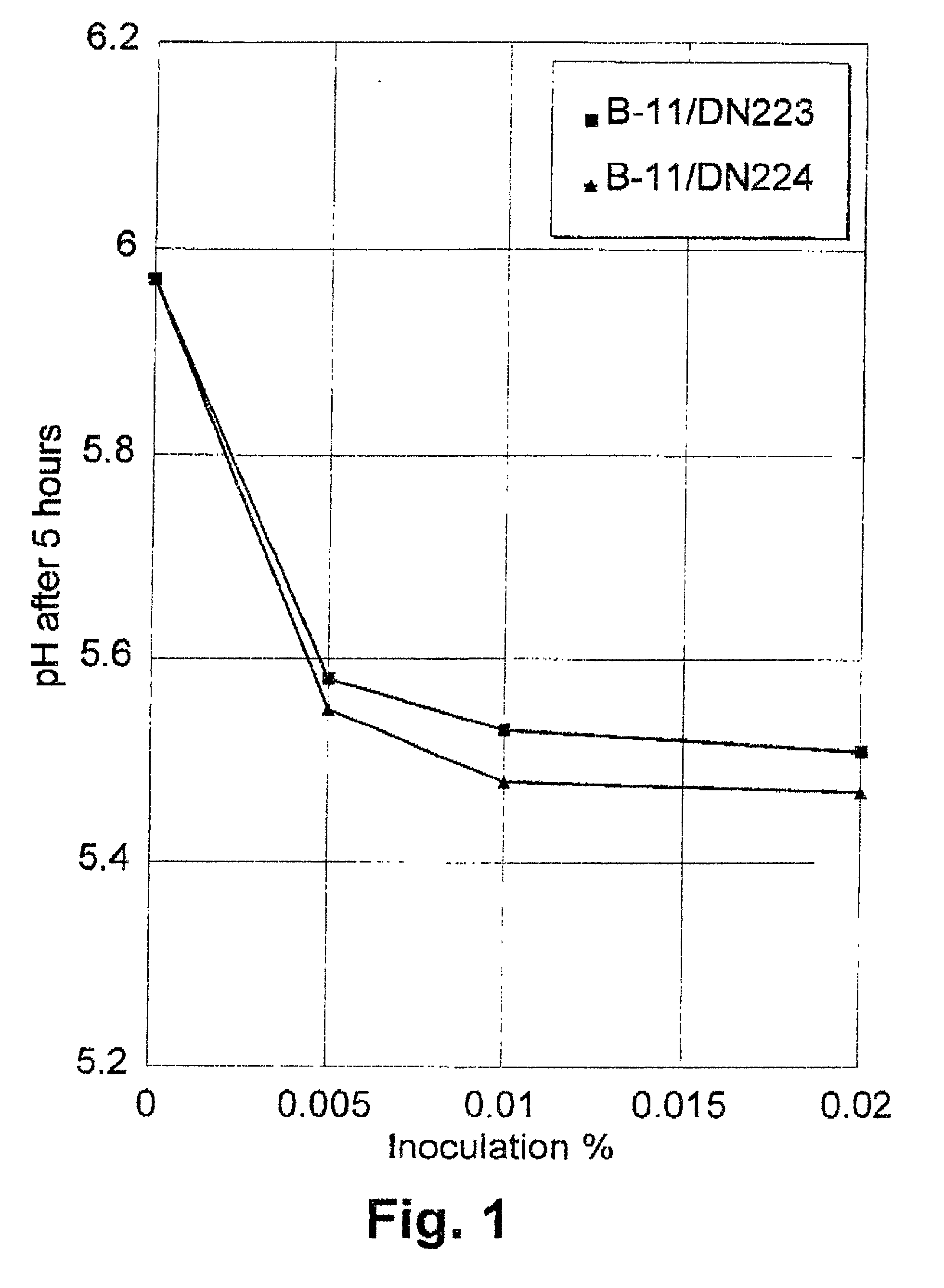 Method of improving the efficacy of lactic acid bacterial starter cultures and improved starter culture compositions