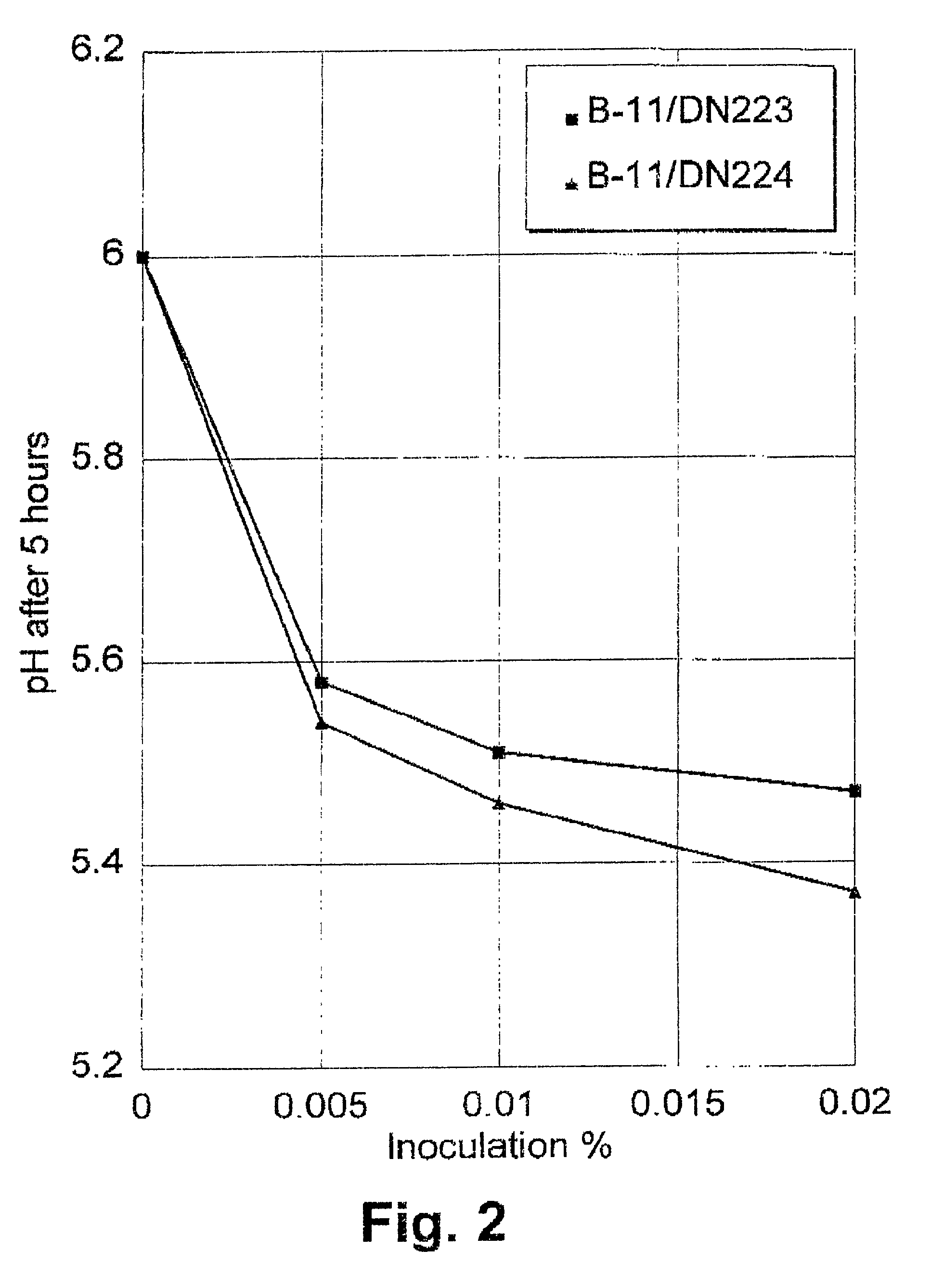 Method of improving the efficacy of lactic acid bacterial starter cultures and improved starter culture compositions