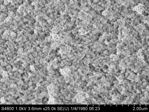 Solid sirolimus self-microemulsion preparation and preparation method thereof