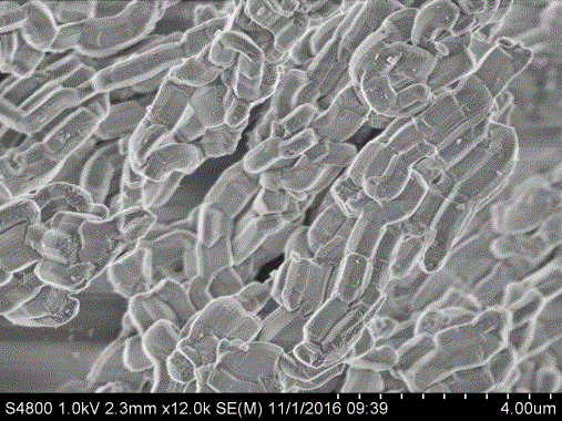 Solid sirolimus self-microemulsion preparation and preparation method thereof