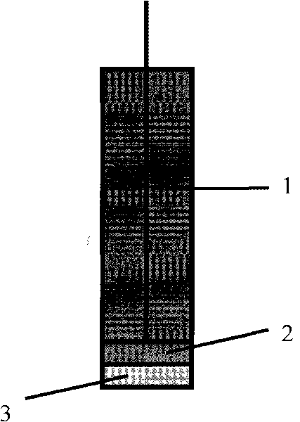 Preparation of bismuth membrane electrode