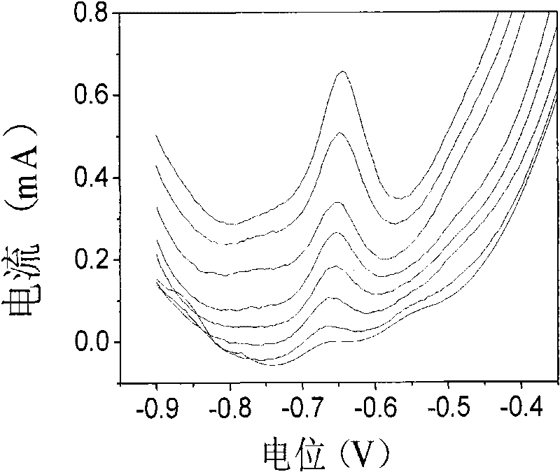 Preparation of bismuth membrane electrode