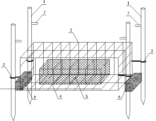 Ecological breeding method of scylla serrata