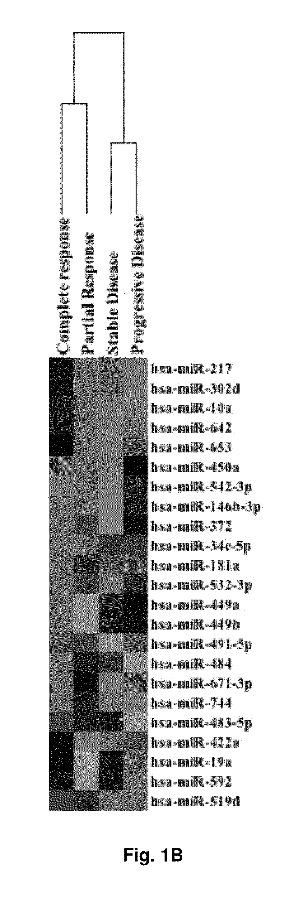 Methods and Materials Related to Ovarian Cancer