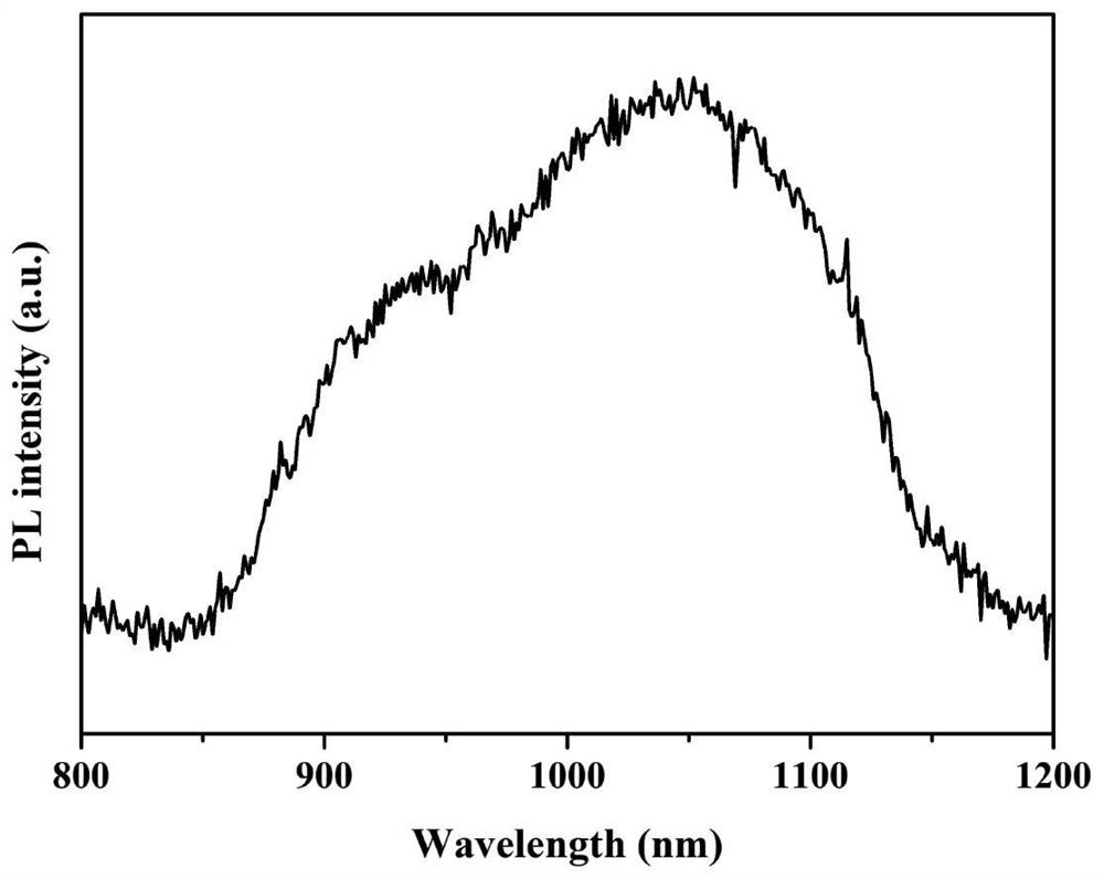 Biosynthesis and purification method of silver selenide quantum dots