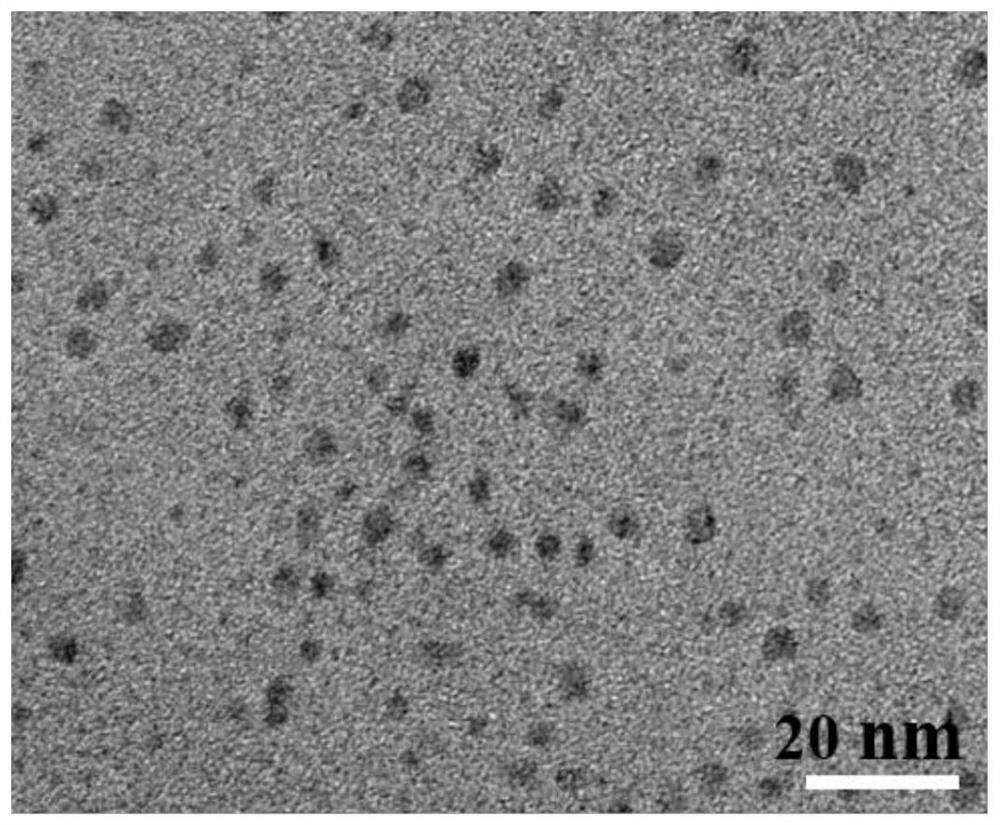 Biosynthesis and purification method of silver selenide quantum dots