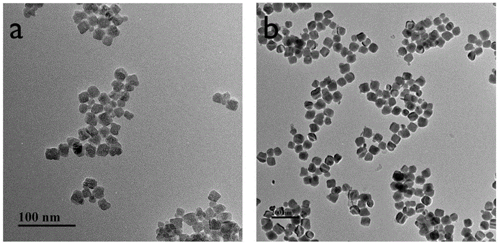 Method for simultaneously detecting two types of pathogenic bacteria based on two-color time-resolved fluorescence labeling-magnetic separation aptamer recognition