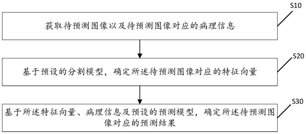 A method, medium and terminal device for predicting the risk of early recurrence of hepatocellular carcinoma after surgery