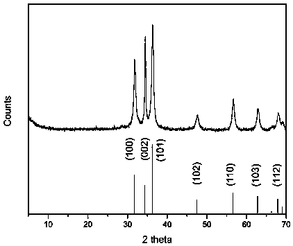 ZnO-containing chitosan/sodium alginate antibacterial cling film and preparation method thereof