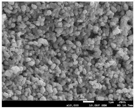 ZnO-containing chitosan/sodium alginate antibacterial cling film and preparation method thereof