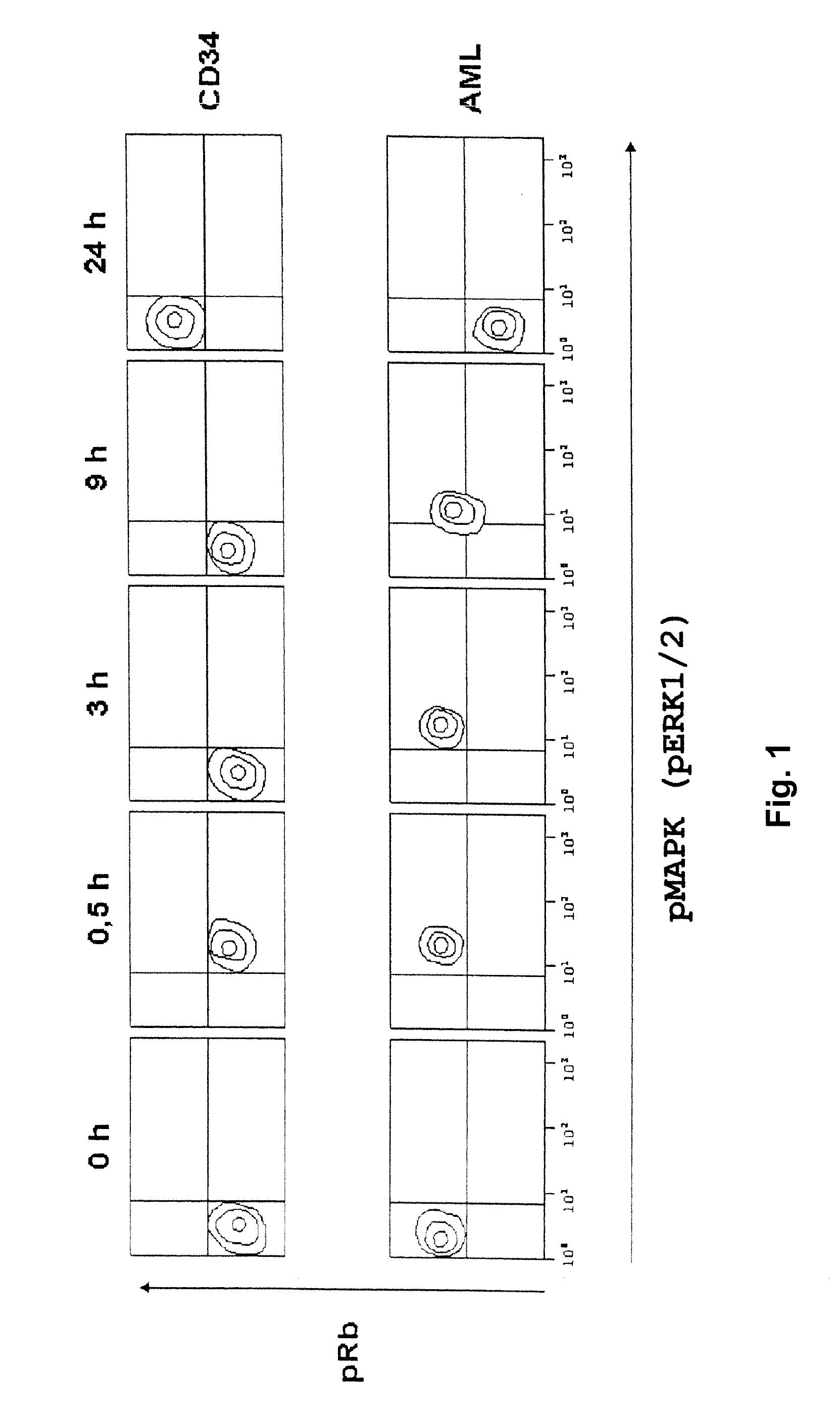 Treatment of transformed or infected biological cells