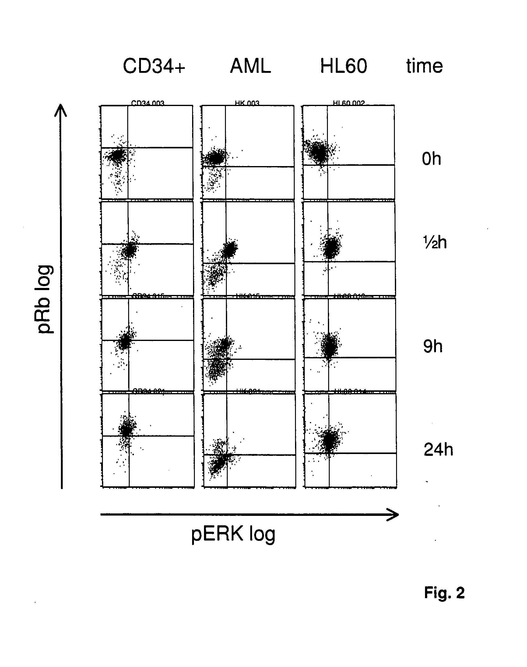 Treatment of transformed or infected biological cells