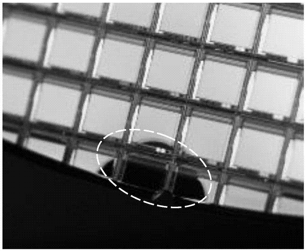 Suction cup and method for eliminating wafer exposure out-of-focus defects