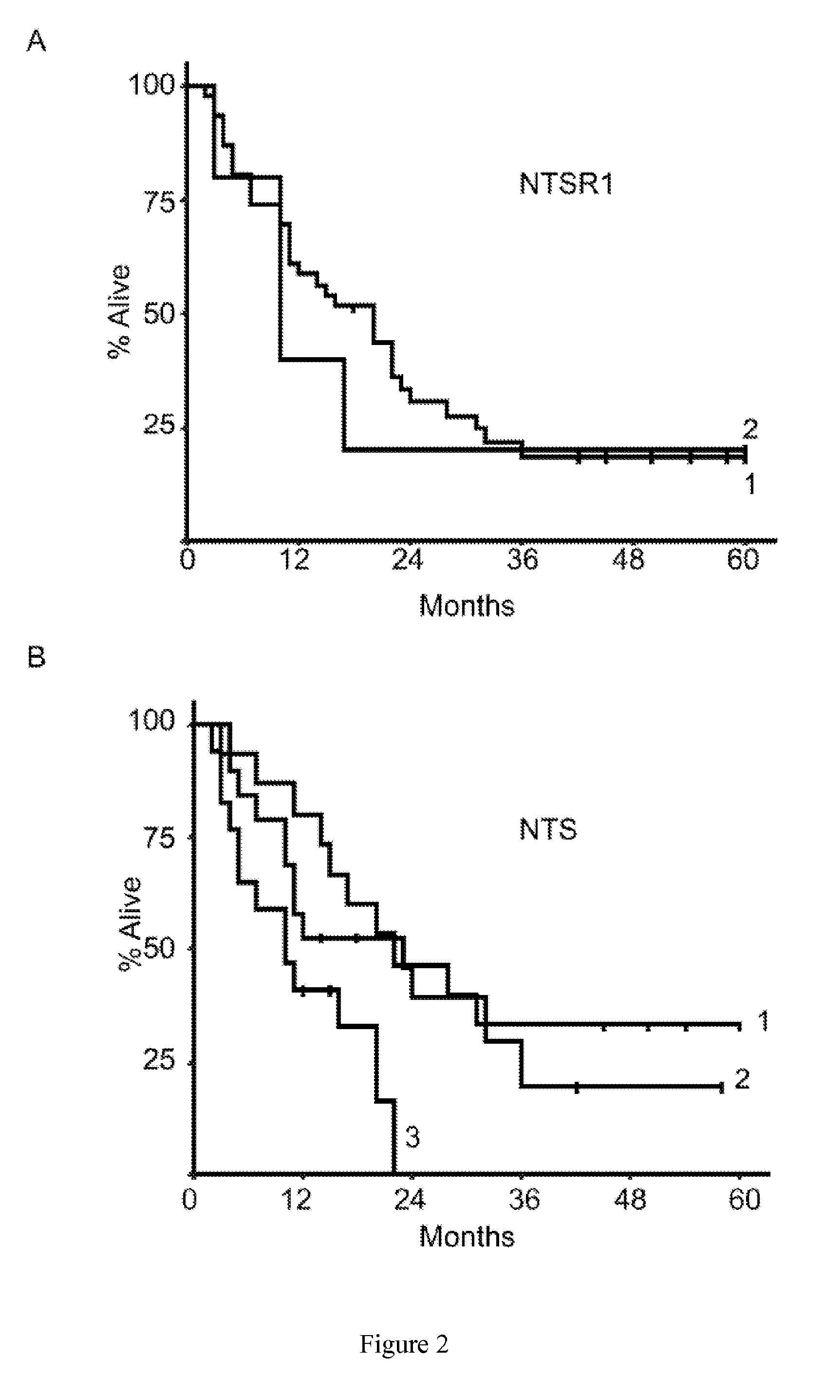 Methods for the Treatment and the Prognostic Assessment of Malignant Pleural Mesothelioma