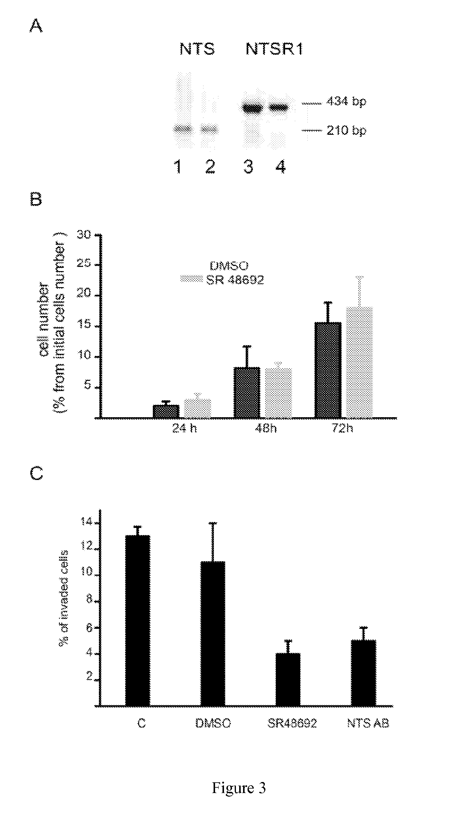 Methods for the Treatment and the Prognostic Assessment of Malignant Pleural Mesothelioma