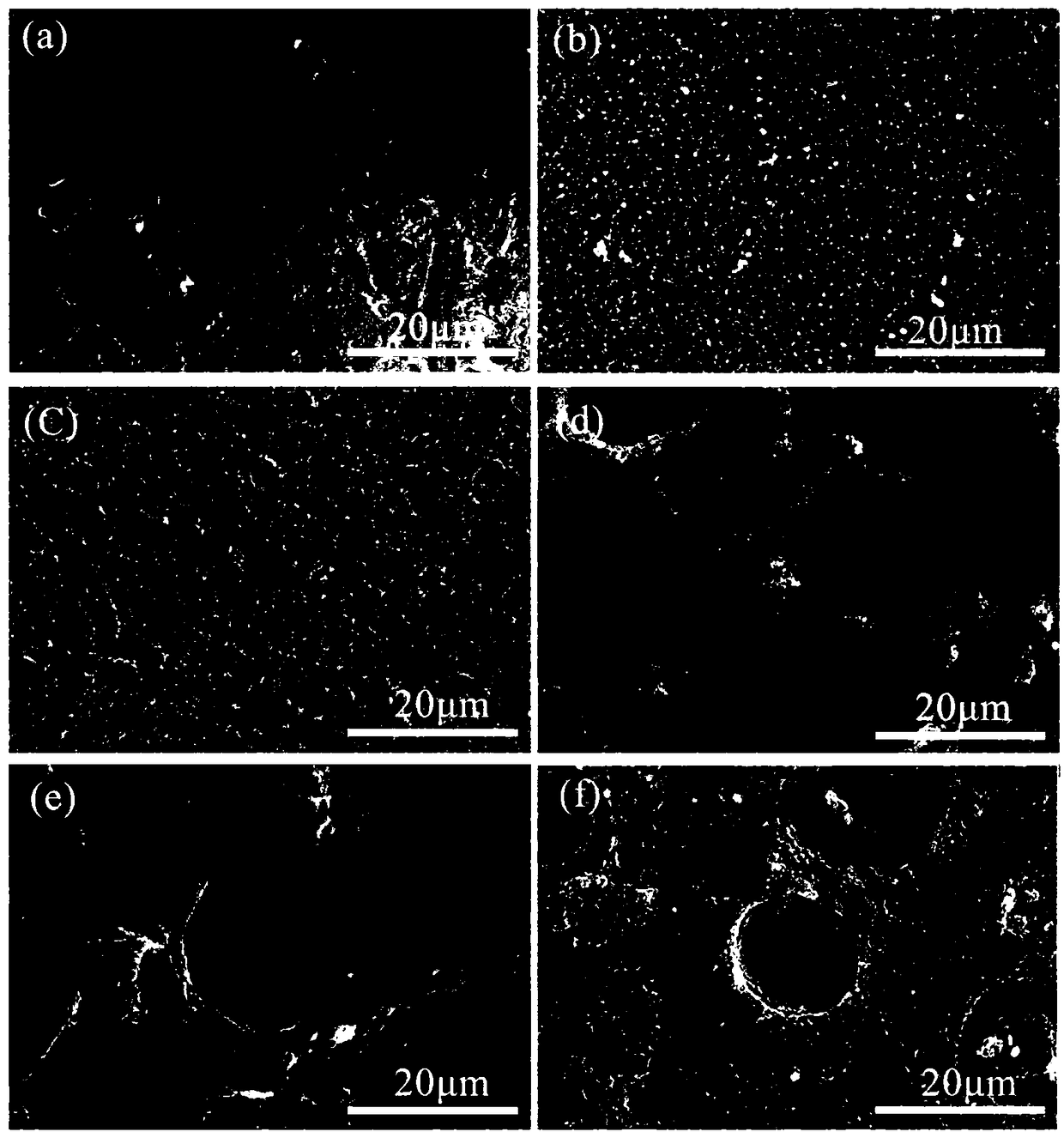 PEEK (polyether-ether-ketone) surface modification method