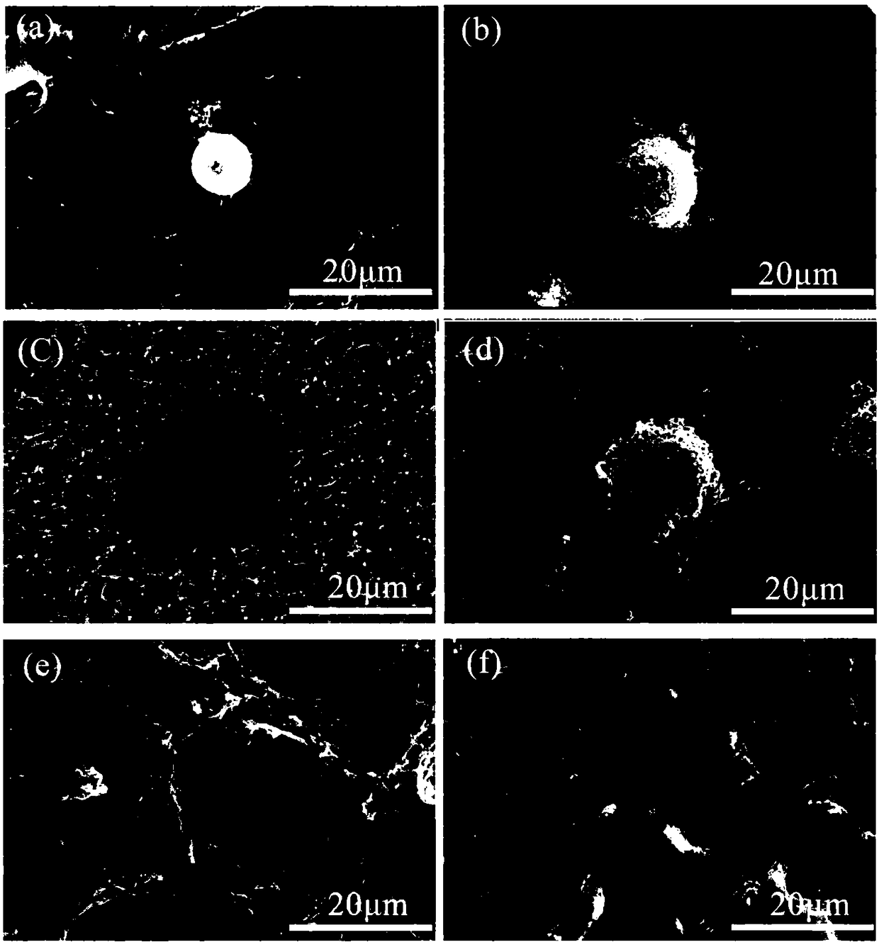 PEEK (polyether-ether-ketone) surface modification method