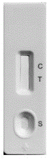 Colloidal gold test strip and detection method for silkworm nuclear polyhedrosis virus immunity