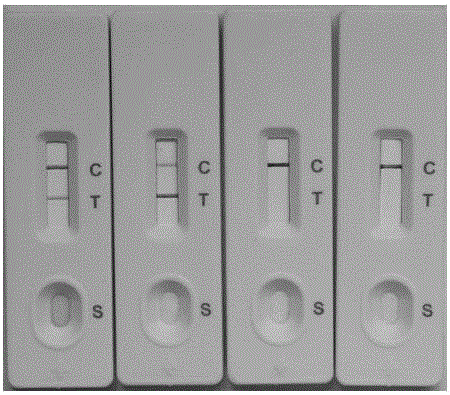 Colloidal gold test strip and detection method for silkworm nuclear polyhedrosis virus immunity