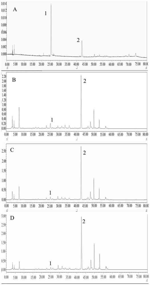 Traditional Chinese medicine composition for treating hepatic fibrosis as well as preparation method and application thereof