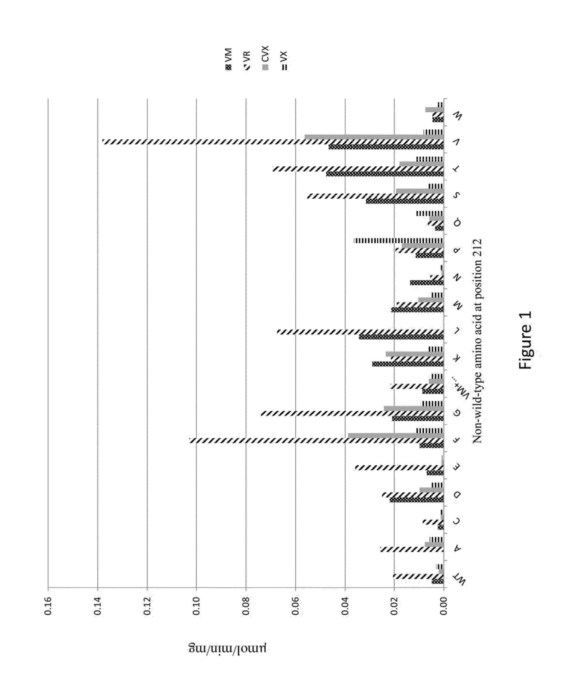 Non-wild-type organophosphorus acid anhydrolases for enzymatic decontamination