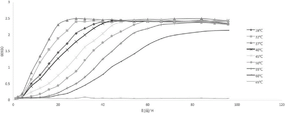 Bacillus with high temperature resistance and cellulose degradation capacity and application thereof