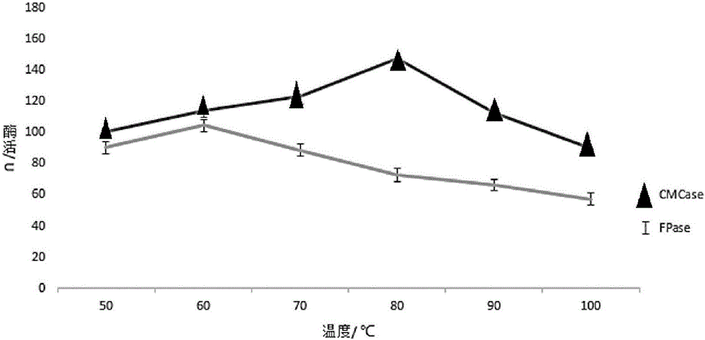 Bacillus with high temperature resistance and cellulose degradation capacity and application thereof