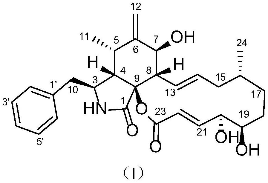 Cytochalasin compound, and preparation method and application thereof