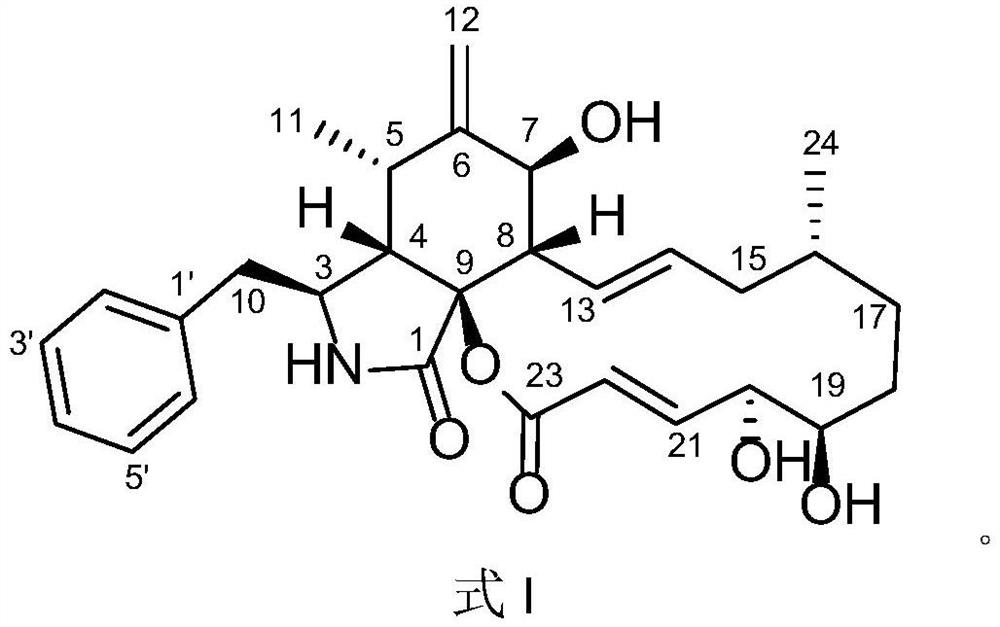 Cytochalasin compound, and preparation method and application thereof