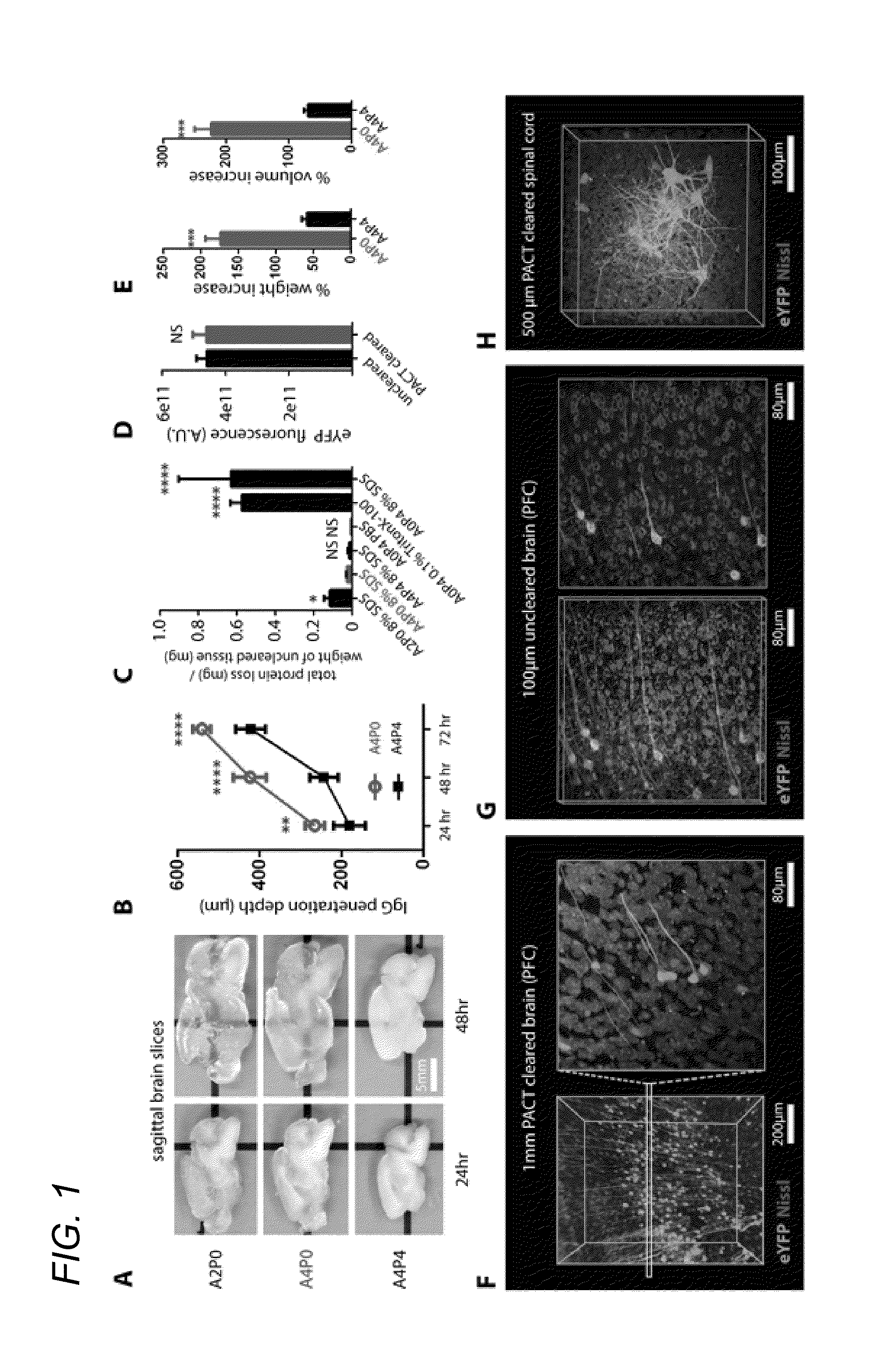 Methods for phenotyping of intact whole tissues